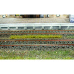 10 bandes d'herbes de printemps - longueur 100 mm