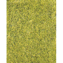 Fibres d'herbes sauvages vert de prairie 75 g