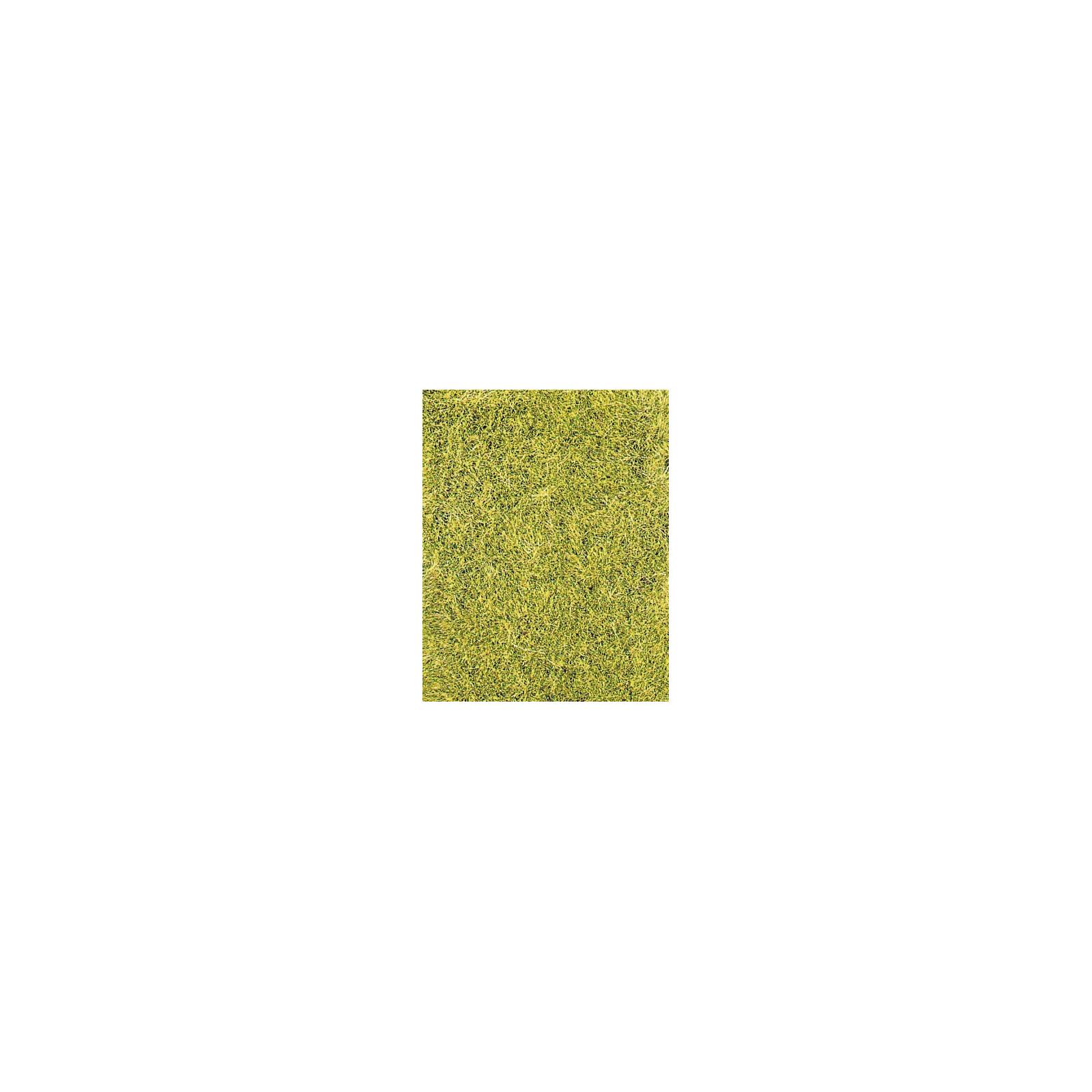 Fibres d'herbes sauvages vert de prairie 75 g