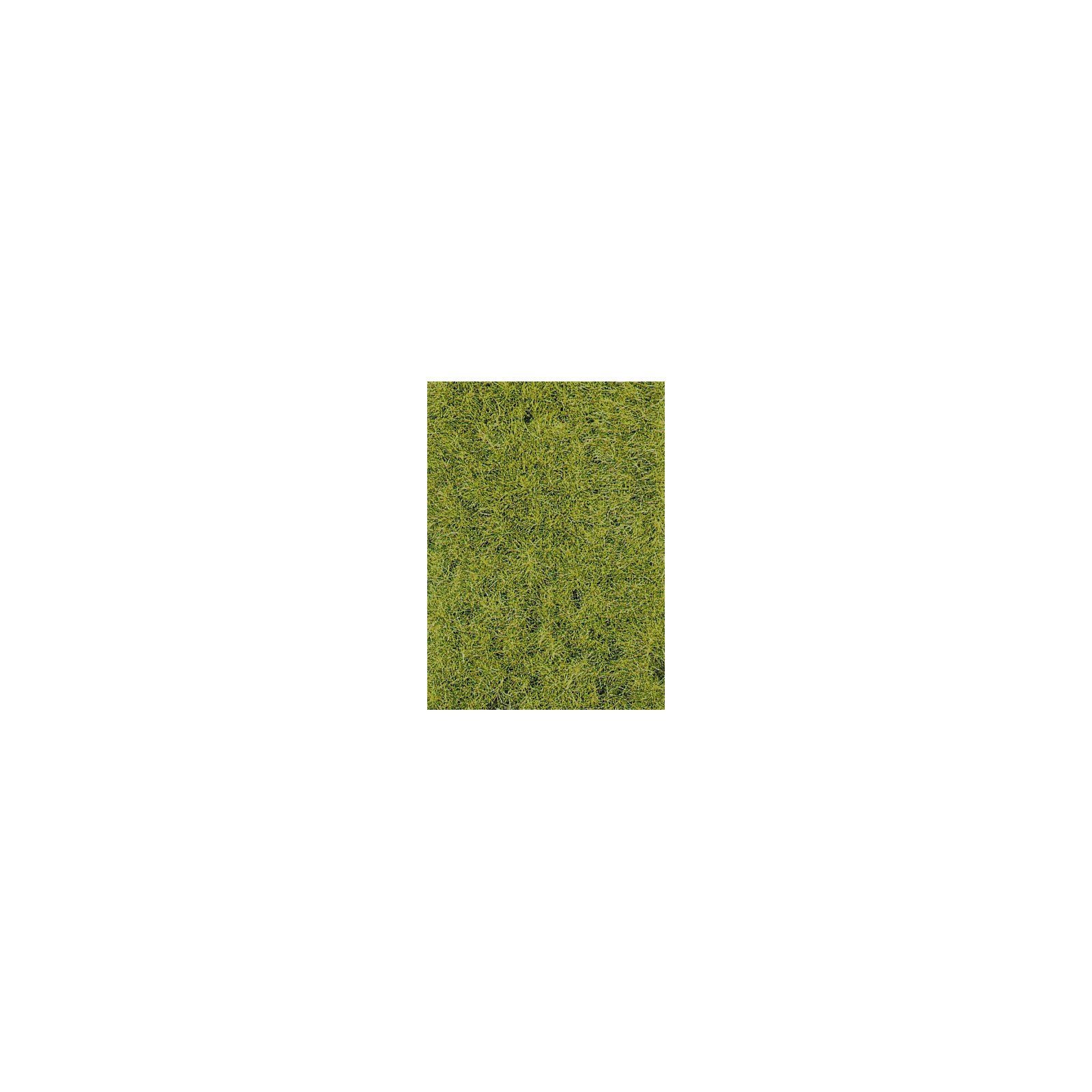 Herbes sauvages vert foncé Longueur 6 mm Herbes sauvages vert foncé Longueur 6 mm