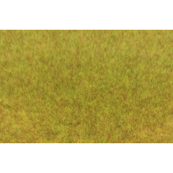Fibres d'herbes sauvages vert de prairie 75 g
