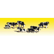 Echelle 0 : Vaches Holstein...