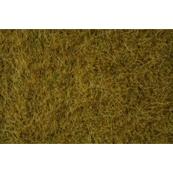 Herbes Sauvages Beige - 6 mm