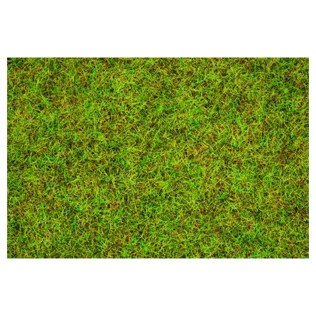 Herbe - Vert Clair - 2,5 mm - 20 g