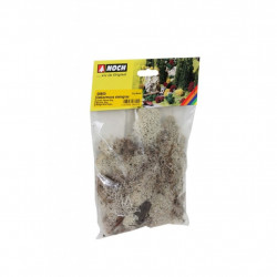 Lichens - gris 35 g