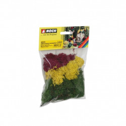 Lichens - couleurs d'automne 35 g