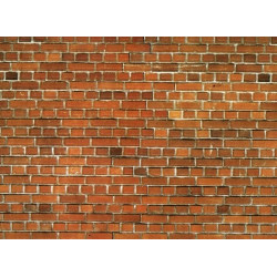 HO,TT/ Mur en Briques