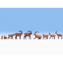 HO/ Animaux alpins