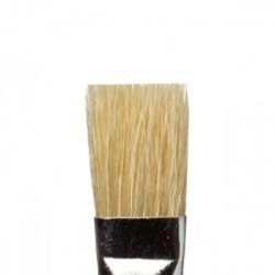 Brosse plate soie de porc N°14