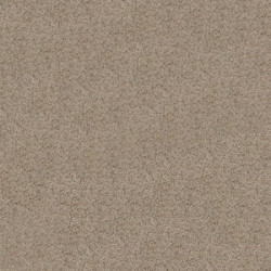 Sachet 200 CC de ballast N Gris