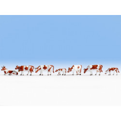 HO/ Vaches brunettes & blancs