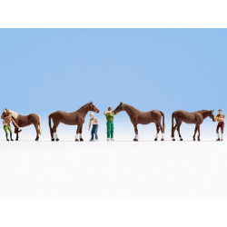 HO/ Soin de cheval