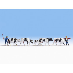 HO/ Gardiens et troupeau de vaches