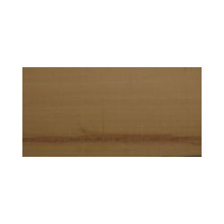 Buis 1x3 mm x1m