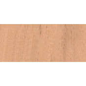 Baguette Samba décor 0,6x12